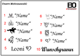 Bürste für Fellpflege